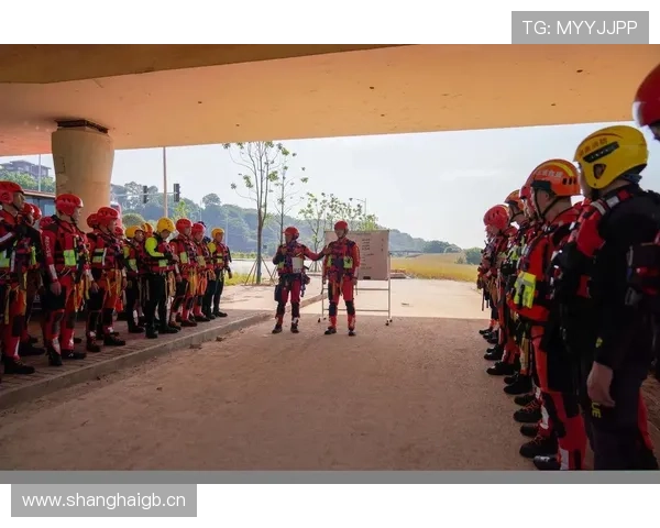 拳击战术配合技巧全面解析提升实战能力与比赛优势